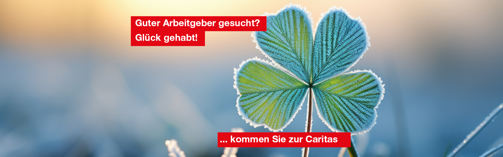 231219_Kleeblatt (c) Daunhijauxx@stock.adobe.com