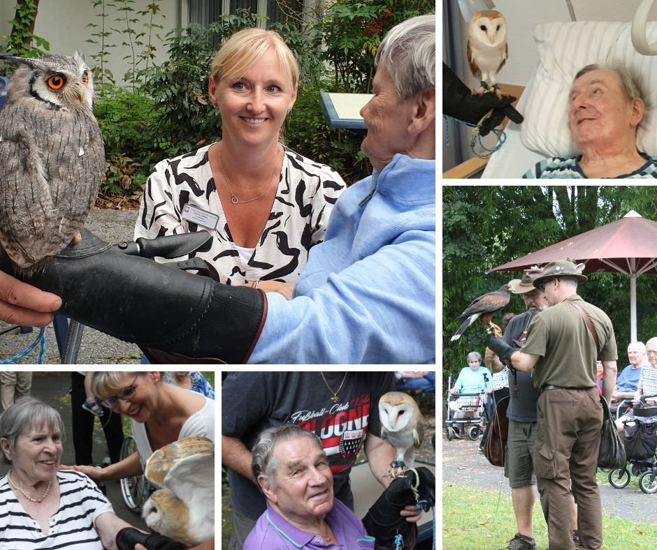 240814_Greifvogel_Anna-Haus (c) Caritas Rhein-Erft