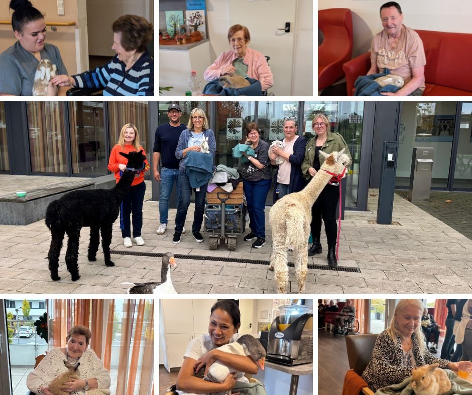 Tierischer Besuch im  SZ St. Ulrich (c) Caritasverband für den Rhein-Erft-Kreis e.V.