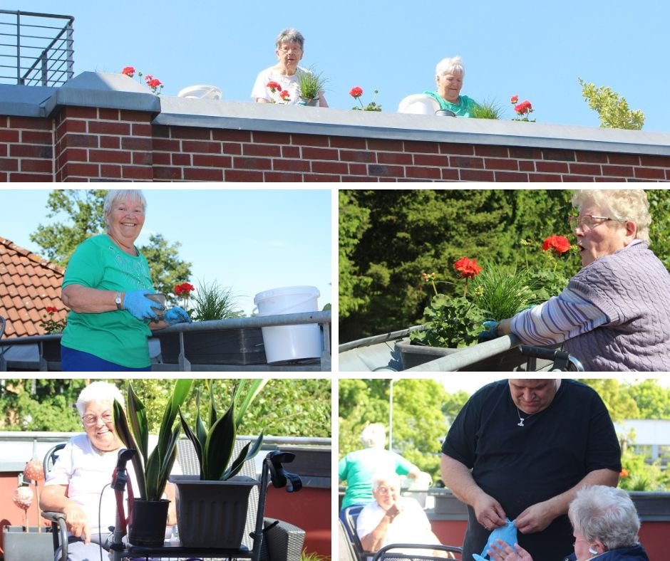 250602_Stiftum Habloch_Pflanzen (c) Caritas Rhein-Erft