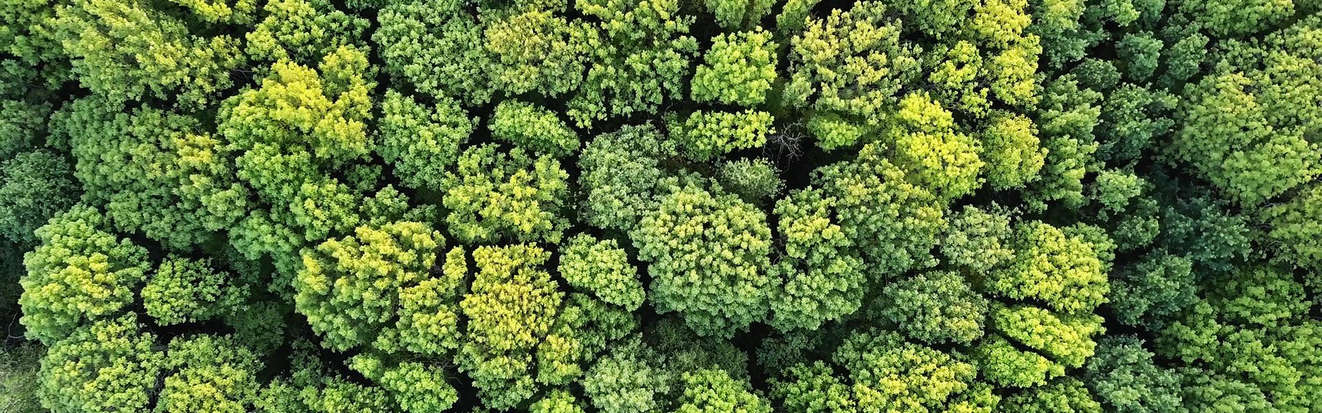 260421_head_nachhaltigkeit_artjazz (c) artjazz@stock.adobe.com